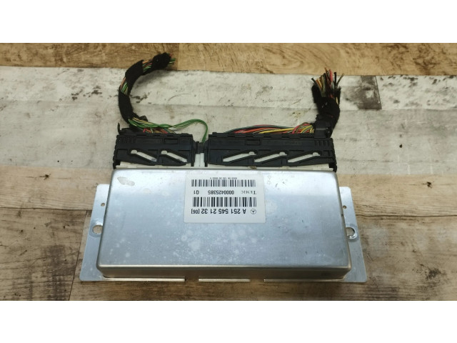 Блок управления A2515452132, 00004253B5 Mercedes-Benz R AMG W251