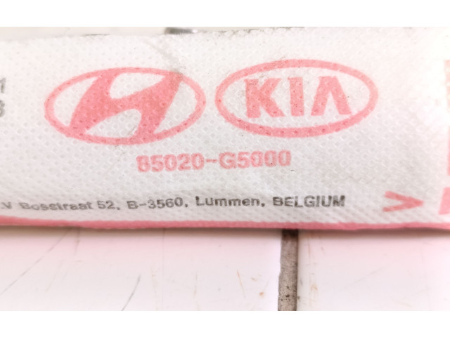 Боковая подушка безопасности 85020G5000   KIA Niro