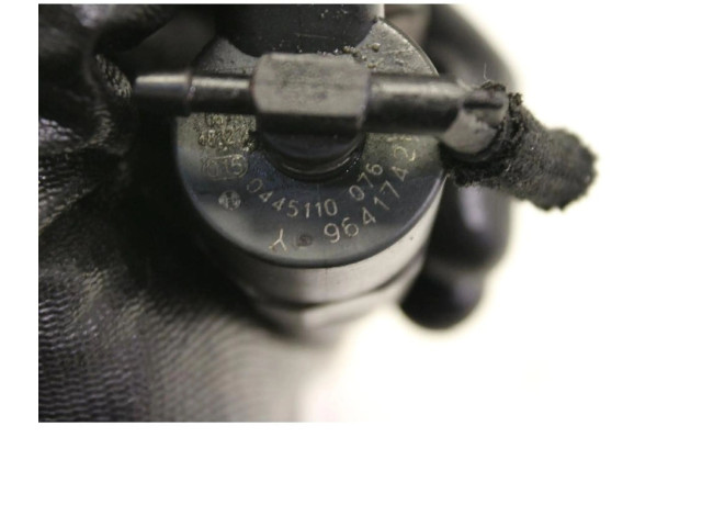 Форсунка 0445110076    Peugeot Expert  RHX 