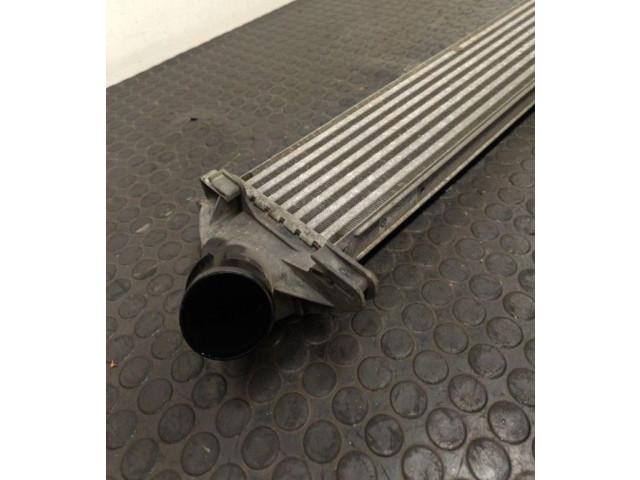 Интеркулер Dacia Logan I