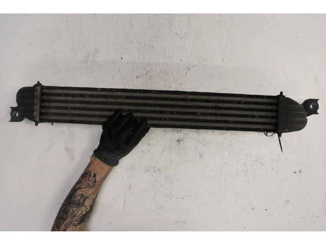 Интеркулер Mini Paceman (R61) 2.0