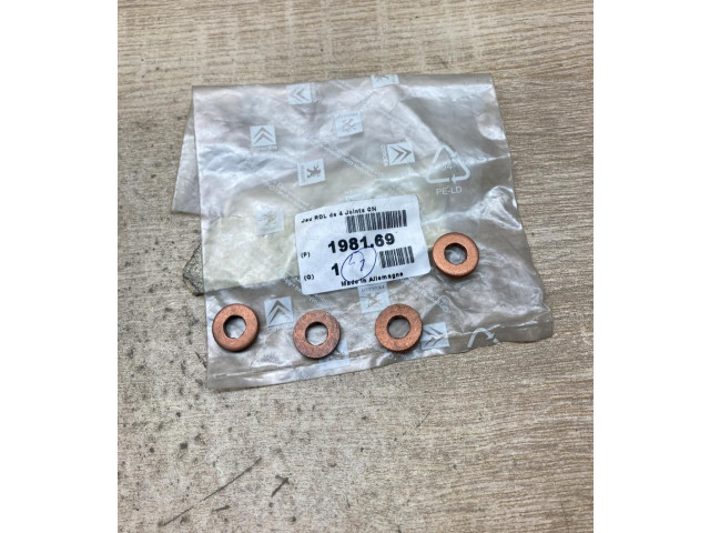 Форсунка 198169, 4Pcs    Citroen C1   