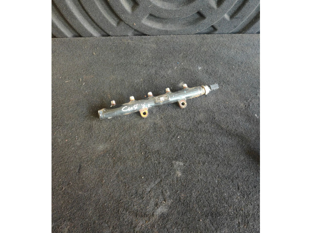 Топливная рампа BK2Q9D280BB   Ford Tourneo Custom   для двигателя B83q6007af4c