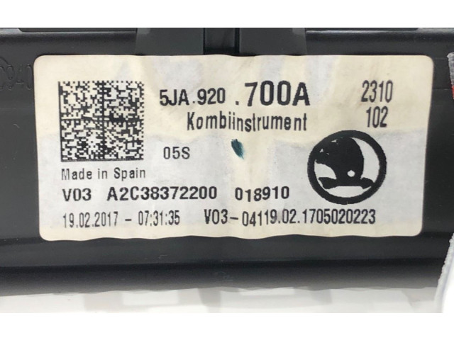 Панель приборов 5JA920700A Skoda Rapid (NH)