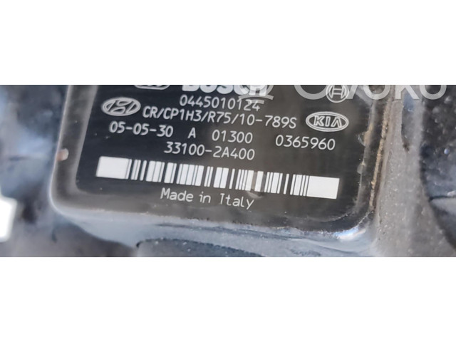Vstřikovací čerpadlo 0445010124 KIA Rio