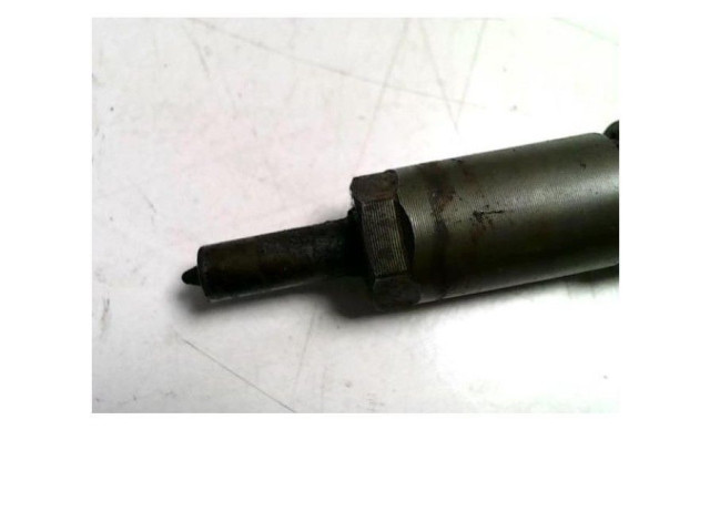 Vstřikovač    Citroen C3     