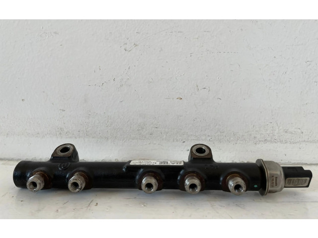 Топливная рампа 968529758003, 8H01   Citroen C3  