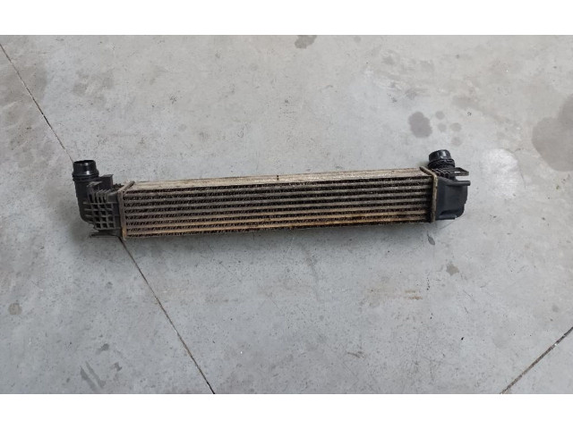 Интеркулер     Dacia Duster 