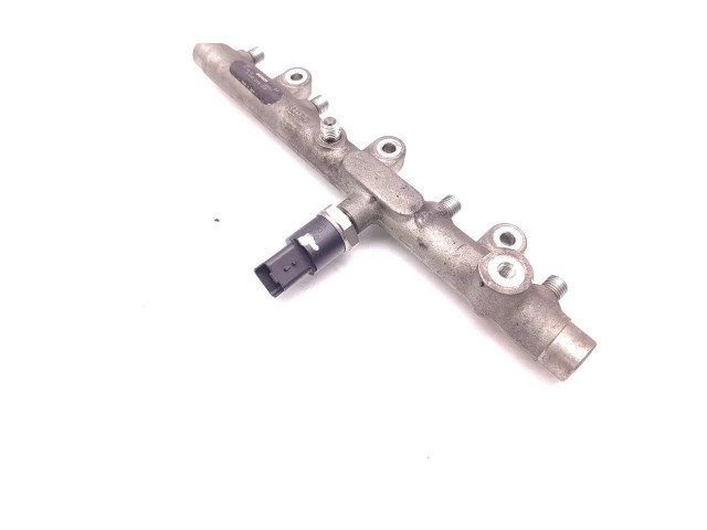 Топливная рампа 0445214019 Citroen Xsara Picasso для двигателя RHY(DW10TD)