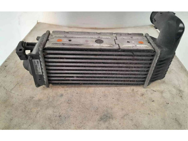 Интеркулер 384J8, 384J8 Peugeot 607