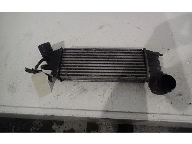 Интеркулер     Citroen C8 