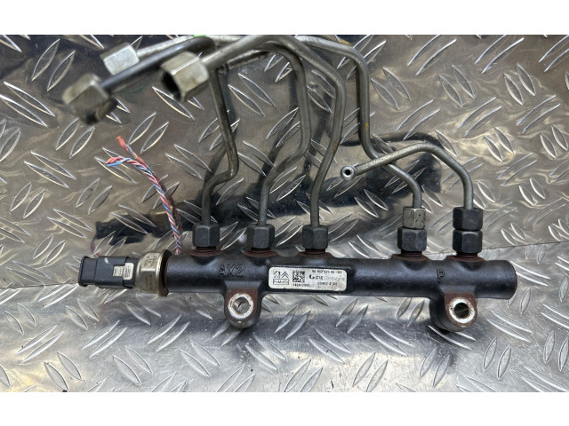 Топливная рампа 9685297580, 28497Z01   Citroen C4 II Picasso  