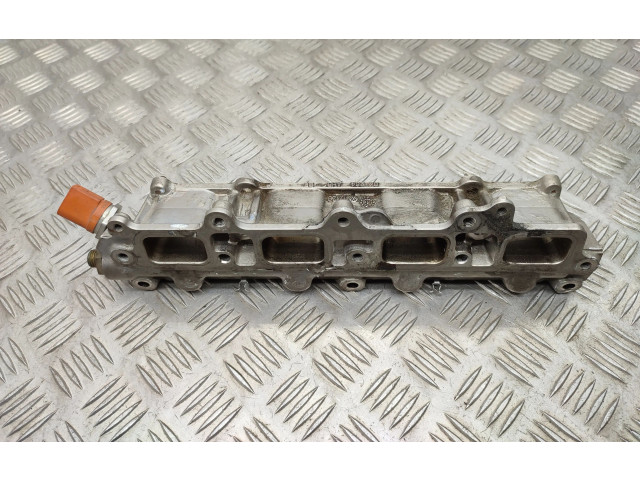 Vstřikovací lišta 3328342, 0261545051 Volkswagen Tiguan Cav