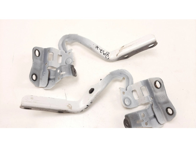 Петля (петли) капота двигателя