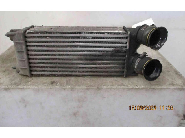 Интеркулер  384N9, 384N9   Peugeot 5008 