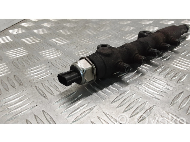 Топливная рампа 55PP0501 Ford Transit 2.4