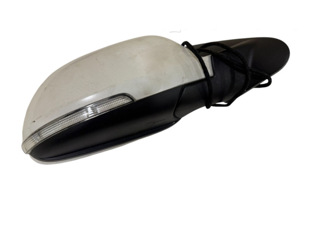 Зеркало (управляемое электричеством) E1020989   Skoda Octavia Mk2 (1Z)