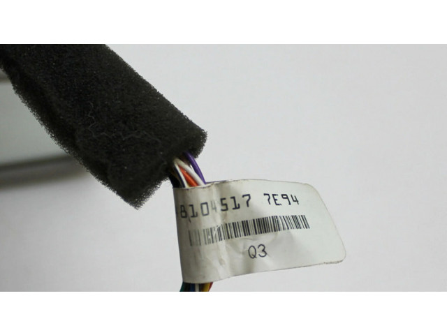 Зеркало заднего вида (в салоне)