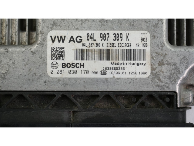 Řídící jednotka 04L907309K, 0281030170   Volkswagen Tiguan 2008