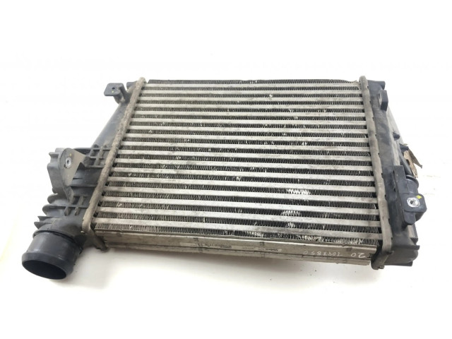Интеркулер  9806562180, SU001A3951   Citroen LN LNA 2.0