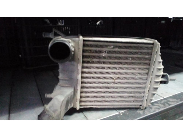 Интеркулер     Fiat Punto (188) 