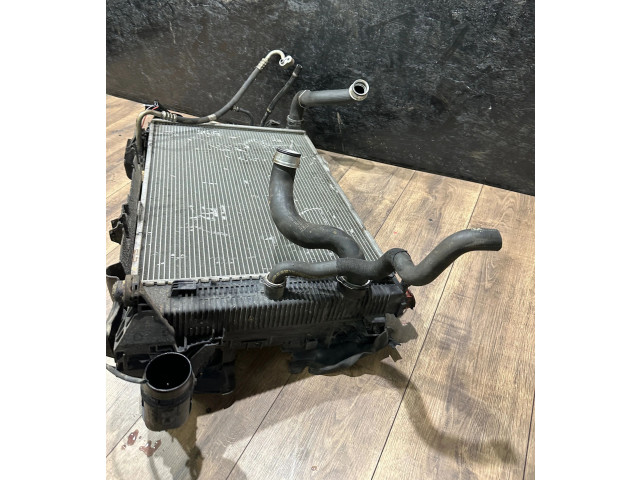 Pojistková skříňka Комплект радиатора A2045003703 Mercedes-Benz C W204 2011