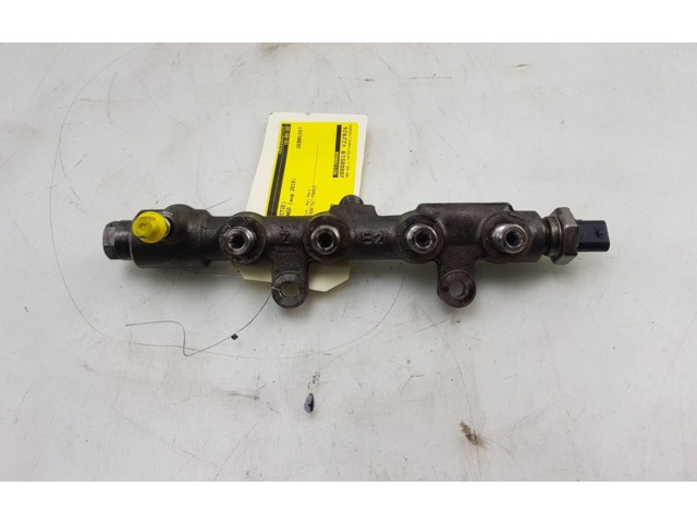 Топливная рампа 9821399680, 192602674   Citroen Berlingo   для двигателя DV5RE(YHW)