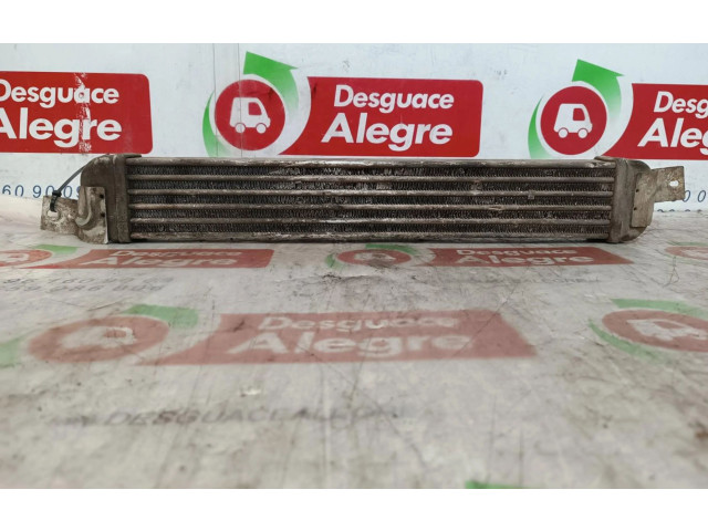 Интеркулер     Opel Meriva A 