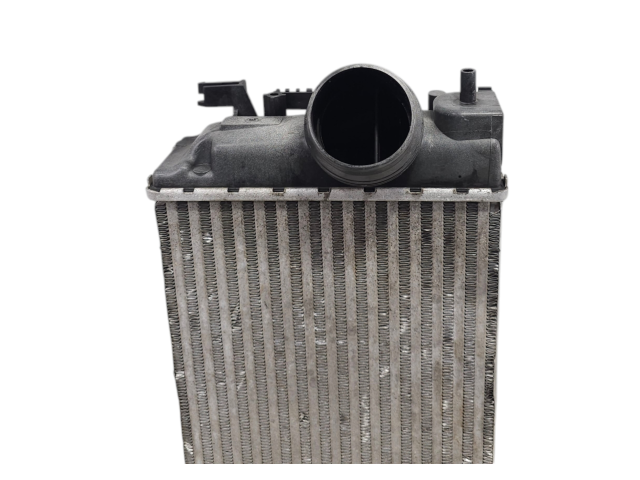 Интеркулер  14461-4EA1B, 14461-4EA1B   Nissan Qashqai 