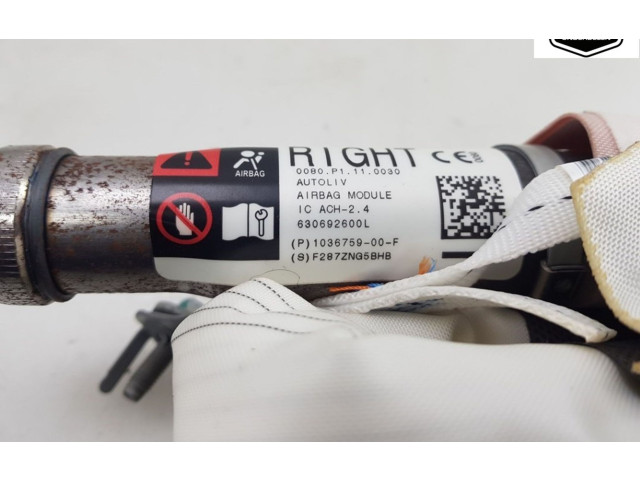 Надувная подушка для крыши 103675900F, 103675900F Tesla Model X A0003K8775D