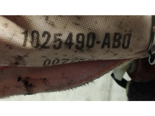 Боковая подушка безопасности 1025474, K6201 Honda FR-V
