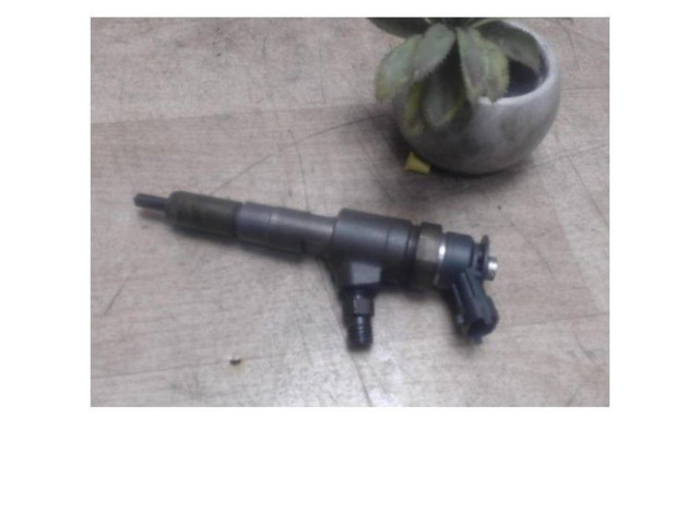 Vstřikovač    Citroen C3     