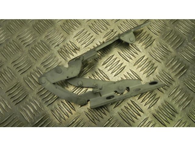 Петля (петли) задней крышки