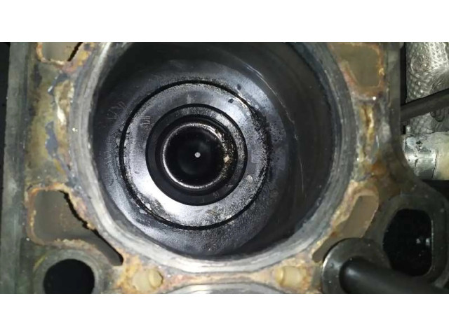 Píst 0000504386684, BIELA Fiat Ducato pro naftový motor 2.3 F1AE3481D