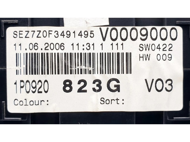 Přístrojová deska Seat Leon (1P) 2006 1P0920823G, V0009000