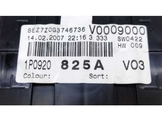 Přístrojová deska Seat Leon (1P) 2007 1P0920825A, 110080280032