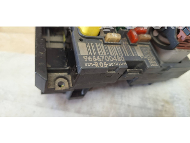 Блок предохранителей 9666700480 Citroen C4 I