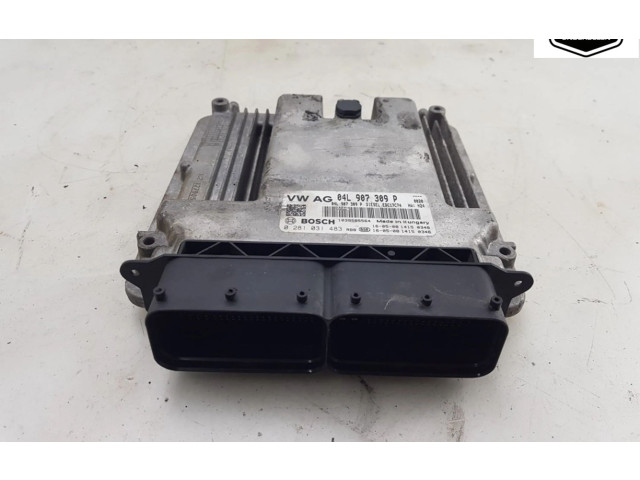 Řídící jednotka 04L907309P, 04L907309P Volkswagen Tiguan 2016