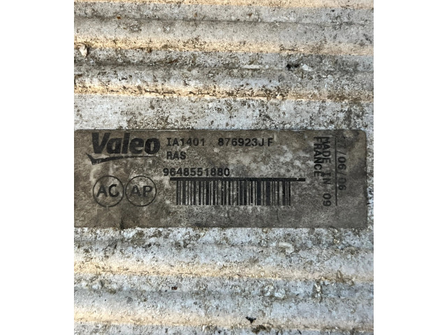 Интеркулер  9648551880, 876923JF   Honda Accord 