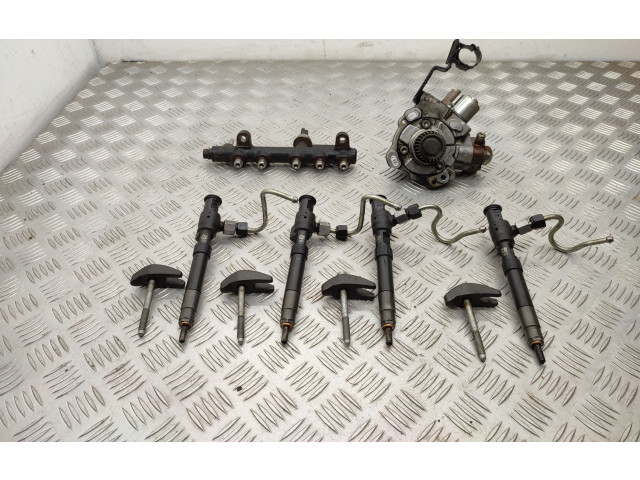 Комплект системы впрыска топлива 9674300080, 9674984080    Ford Kuga II  xrmc 