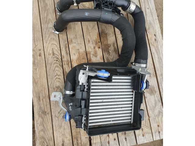 Интеркулер     Citroen DS4 