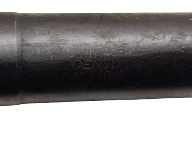 Vstřikovač 6C1Q9K546AC Citroen Berlingo