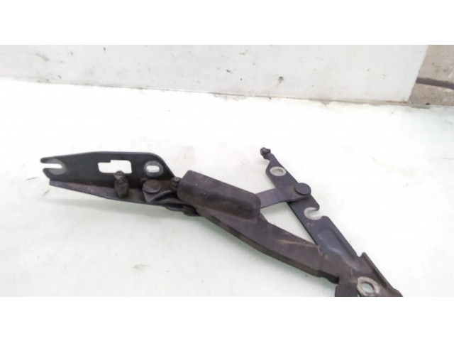 Петля (петли) задней крышки