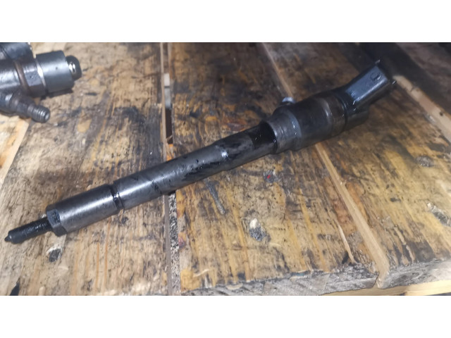 Vstřikovač 0445110270 Chevrolet Captiva pro naftový motor 2.0