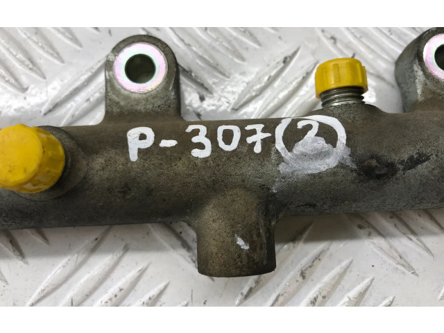 Vstřikovací lišta 0445214019, 016227 Peugeot 307