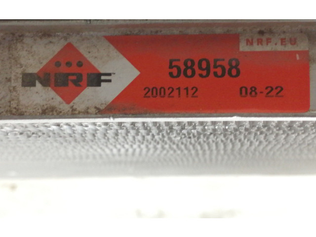 Подушка безопасности для колен 2002112, 58958A050021   Fiat Scudo