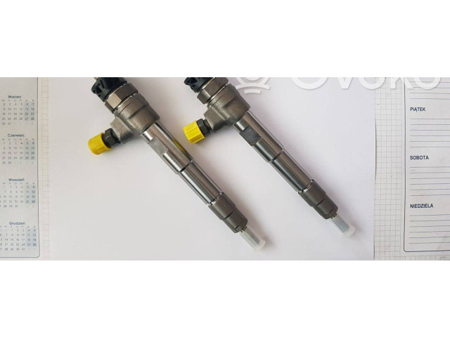 Vstřikovač 0445110800, 166007427R Renault Megane IV