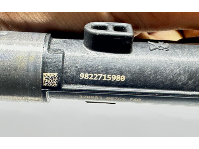 Форсунка 9822715980    Peugeot Partner III   