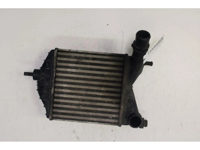 Интеркулер     Fiat Punto (188) 