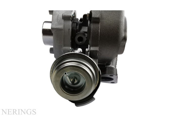 Турбина Audi A4 S4 B7 8E 8H 454231-0013, TC10-0064